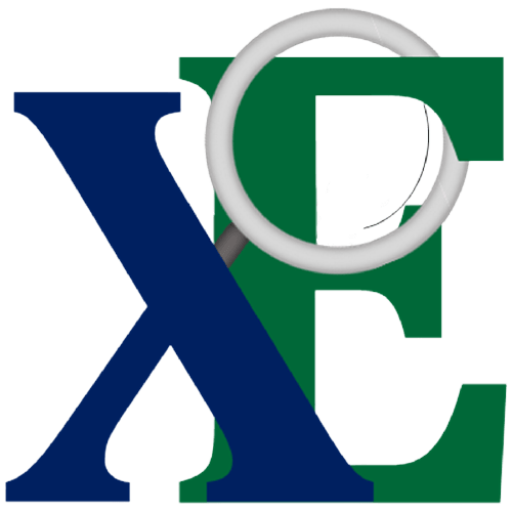 Purchases xplore excel