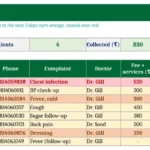 opd register format excel