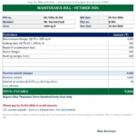 society maintenance bill format excel
